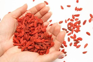 Goji Berry Kullananlar